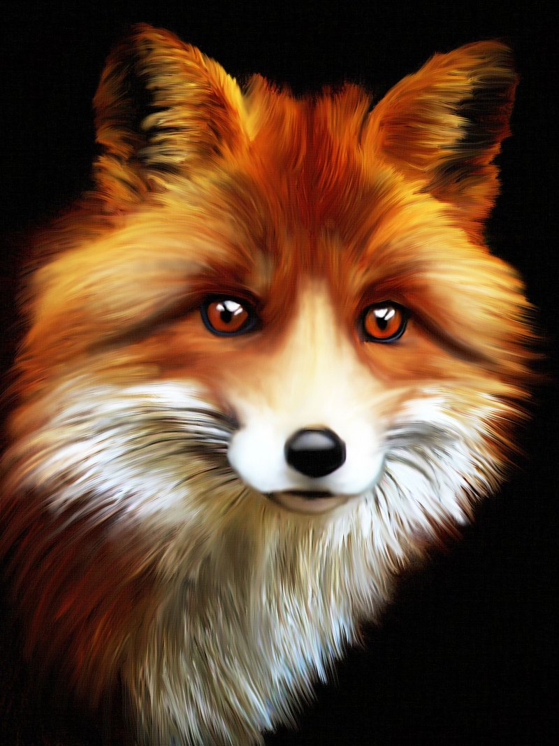 Лис аватарка