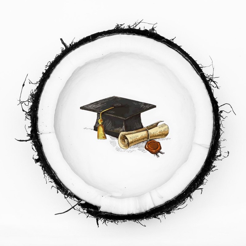 Иконки для инстаграмма Кокос