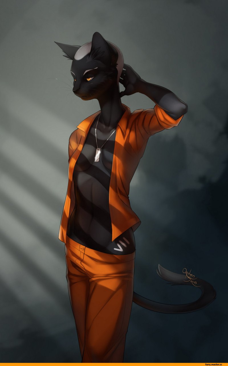 Раса зооморфы