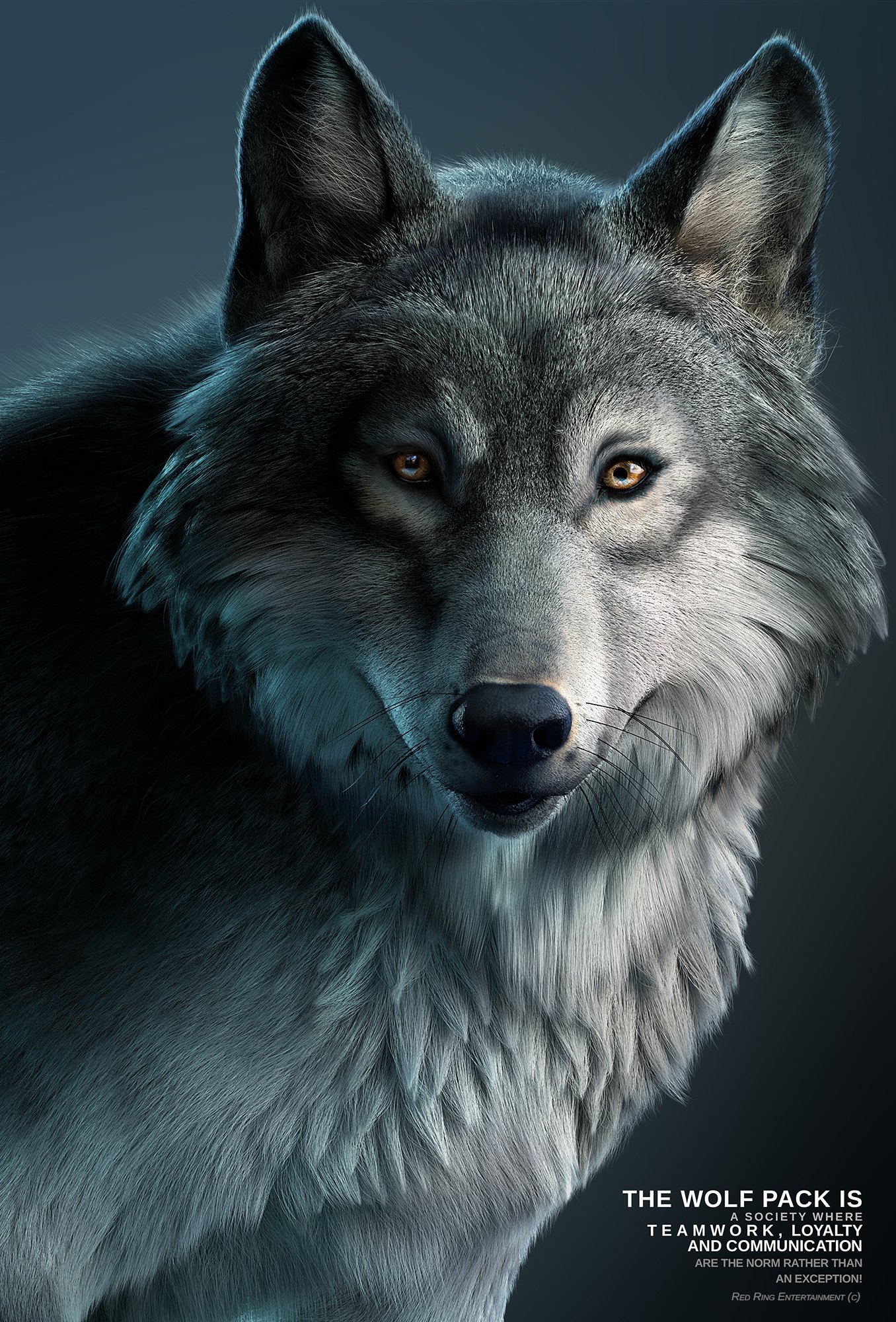 Постер с волком. Волк 3д. Постер волки. Злой волк. Злой волк 3д.