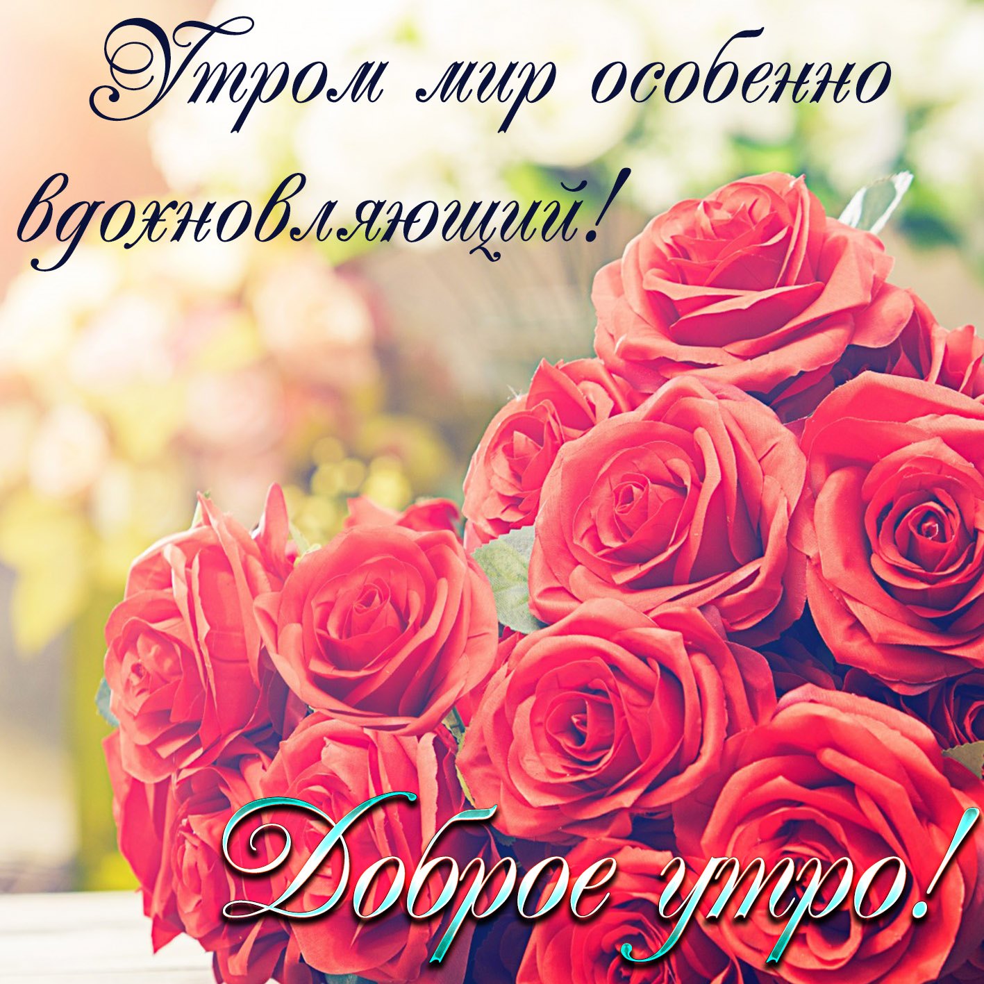 Добрый день картинки с розами. Цветы поздравления. Красивые открытки с пожеланиями. Букет цветов с пожеланиями. Букет роз с добрым утром.