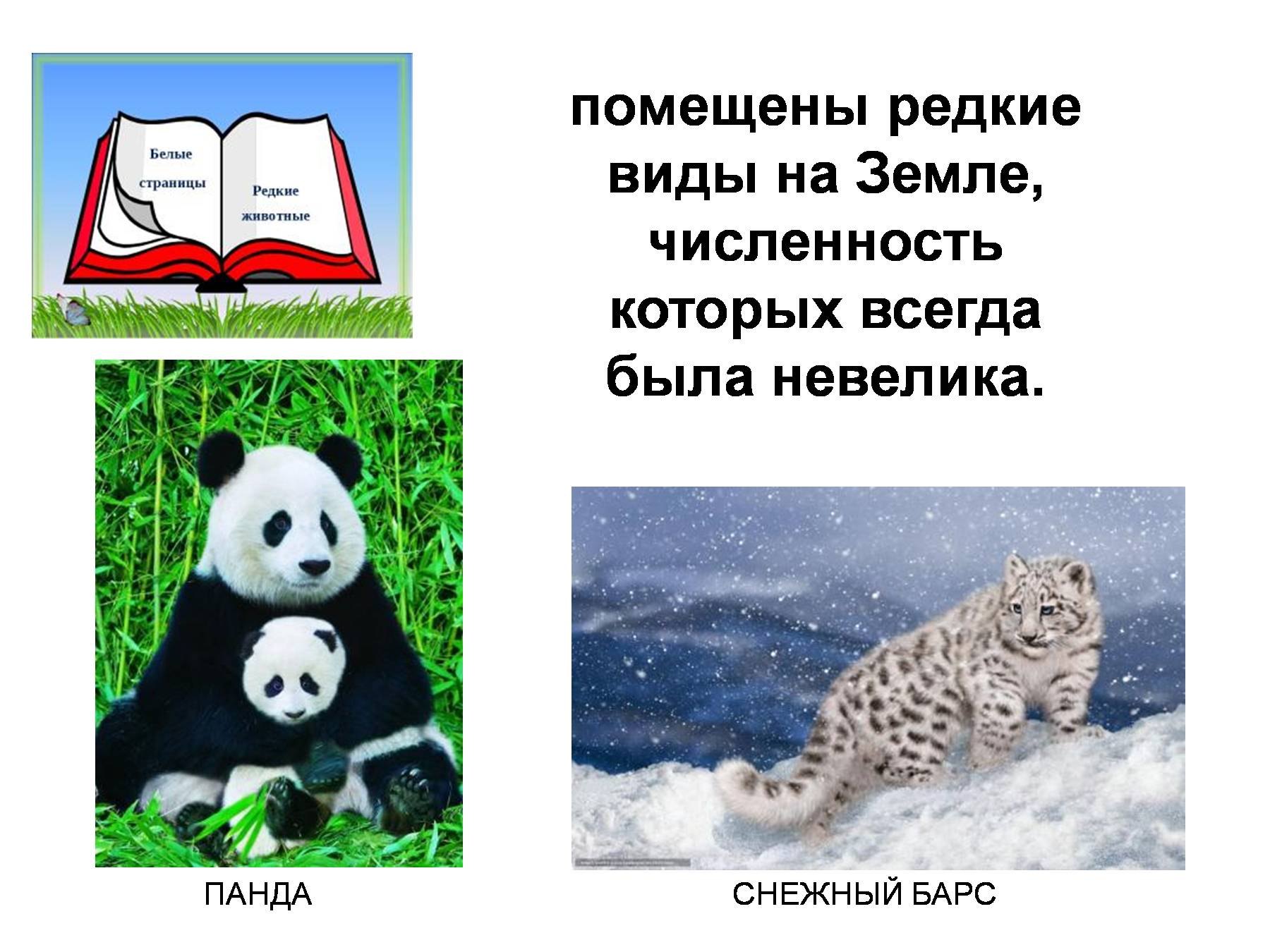 Белые страницы красной книги России