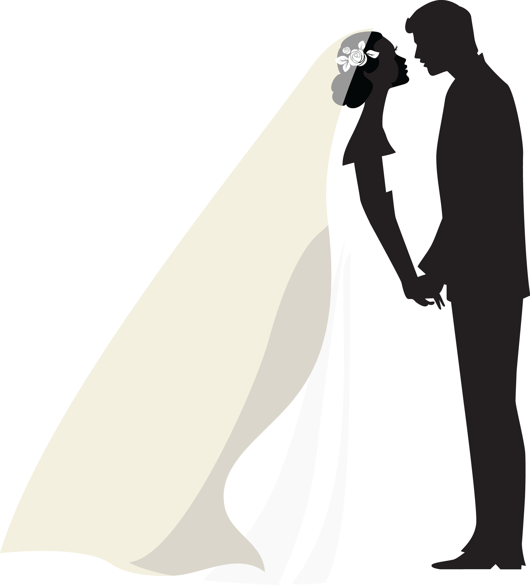 Силуэт жениха и невесты на прозрачном фоне