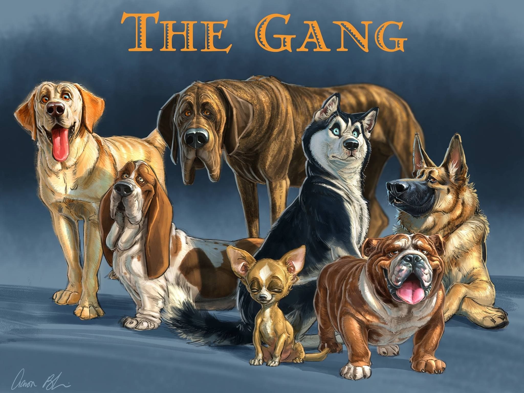 Иллюстрации собак разных пород