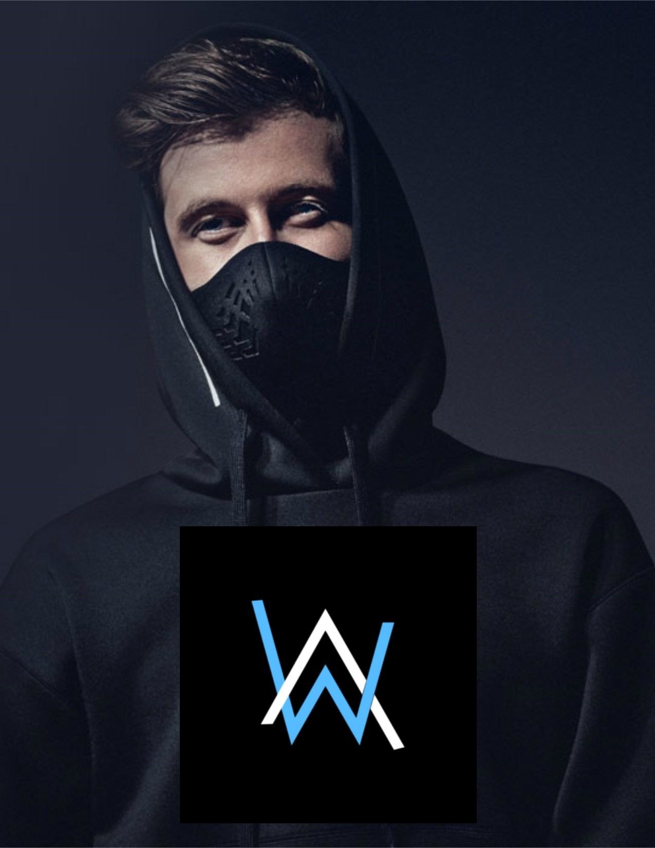 Alan walker fast