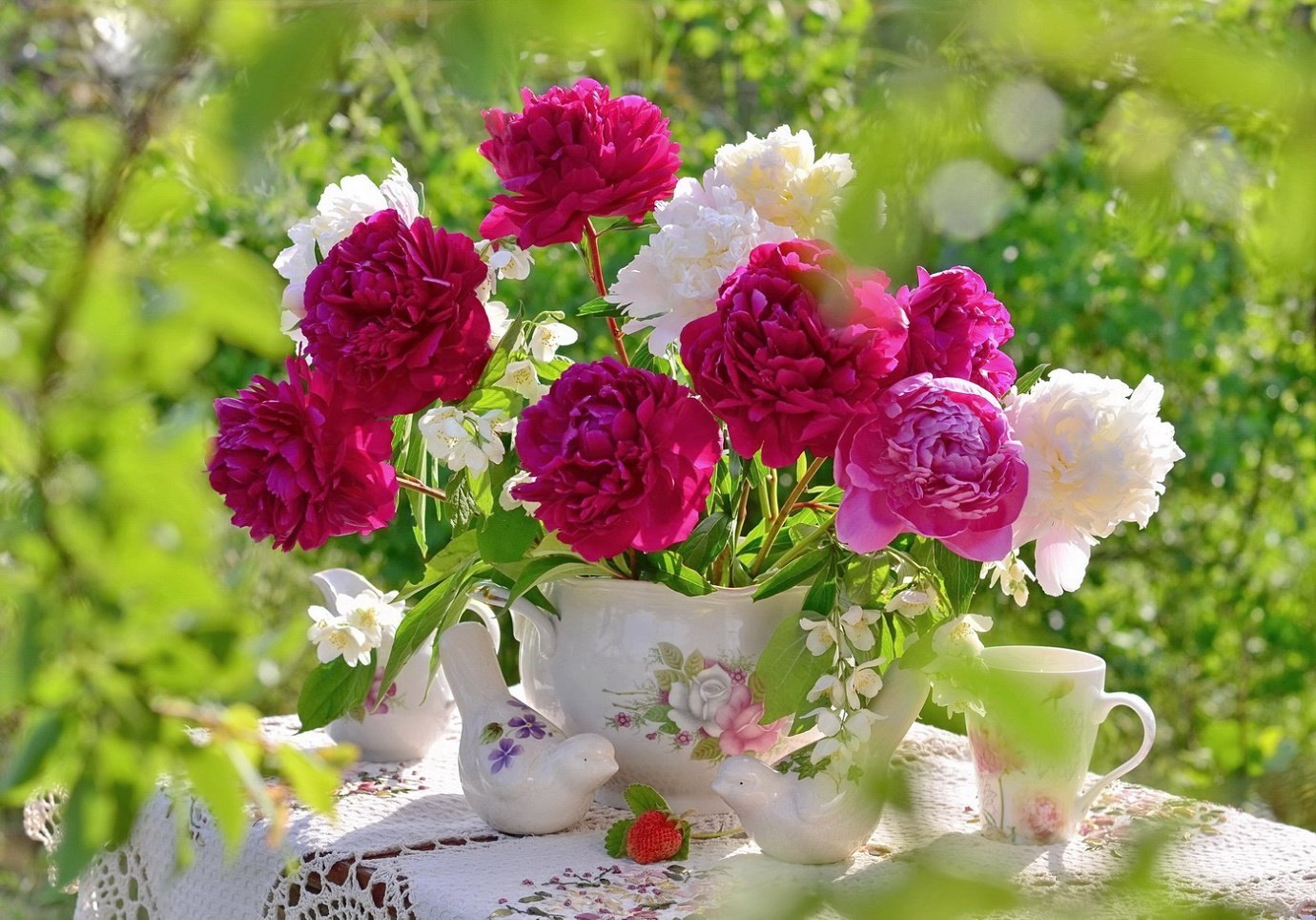 Песня я подарю тебе розы пионы. Утренние цветы. Пионы. Красивые пионы. Пионы в саду.