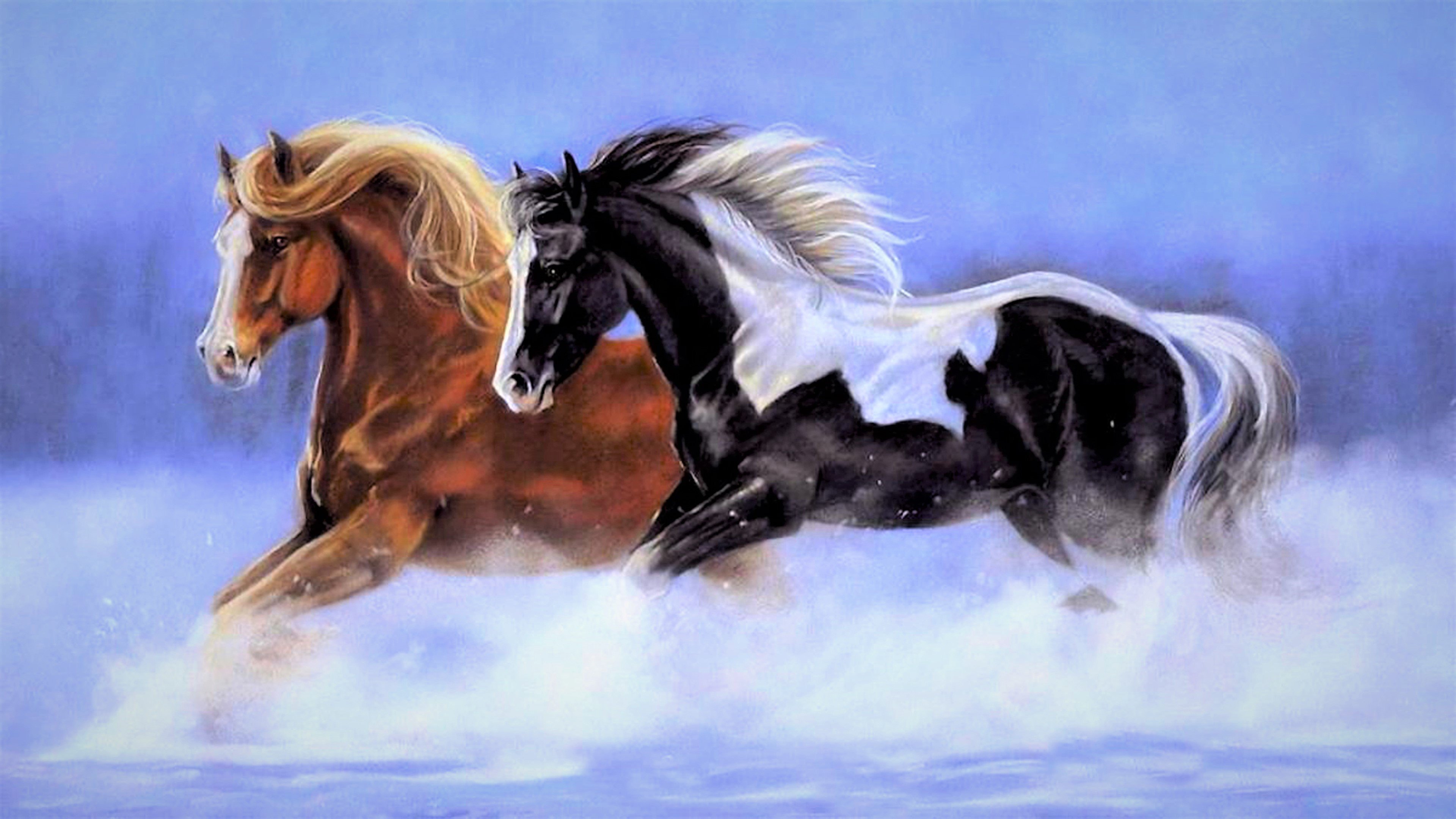 Лошадь красивые слова. Очень красивые лошади. Обои лошади. Картинки на рабочий стол лошади. Лошадь бежит.