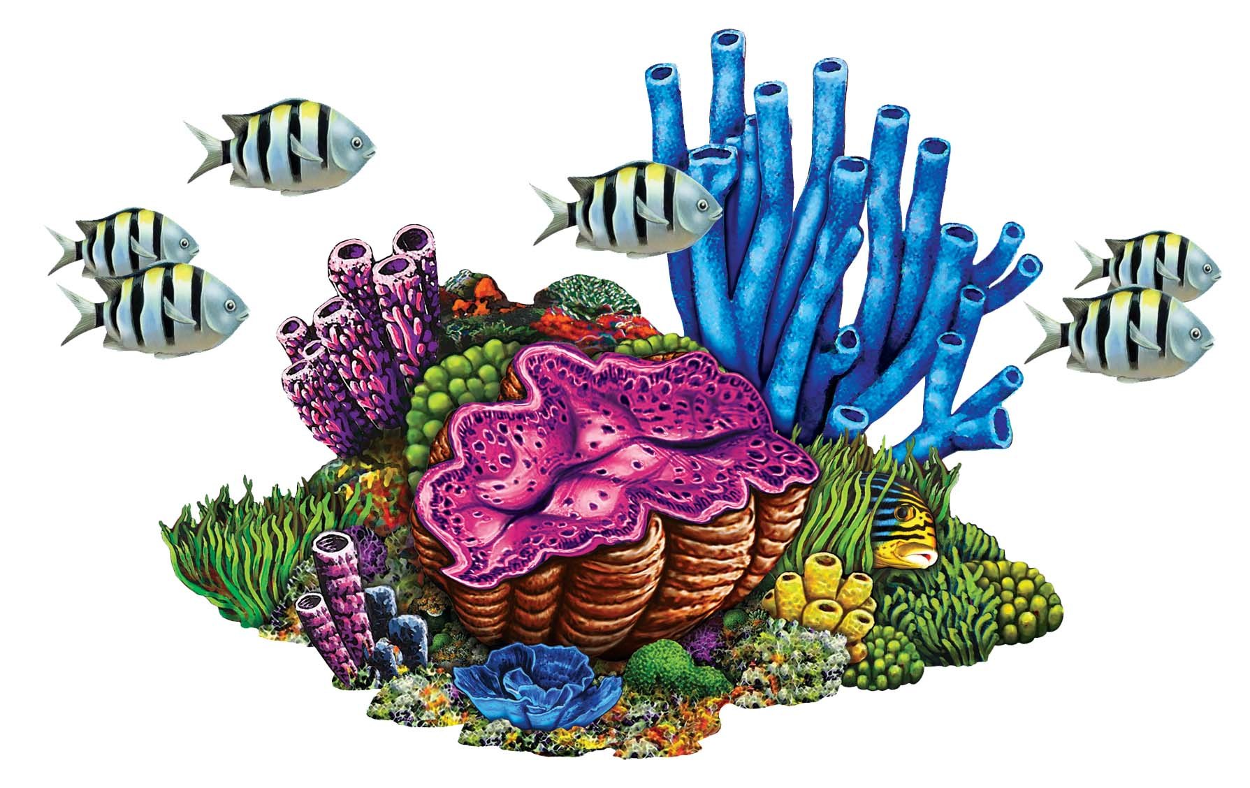 Водоросли ракушки. Кораллы для дошкольников. Подводный мир. Кораллы на белом фоне. Морские кораллы.