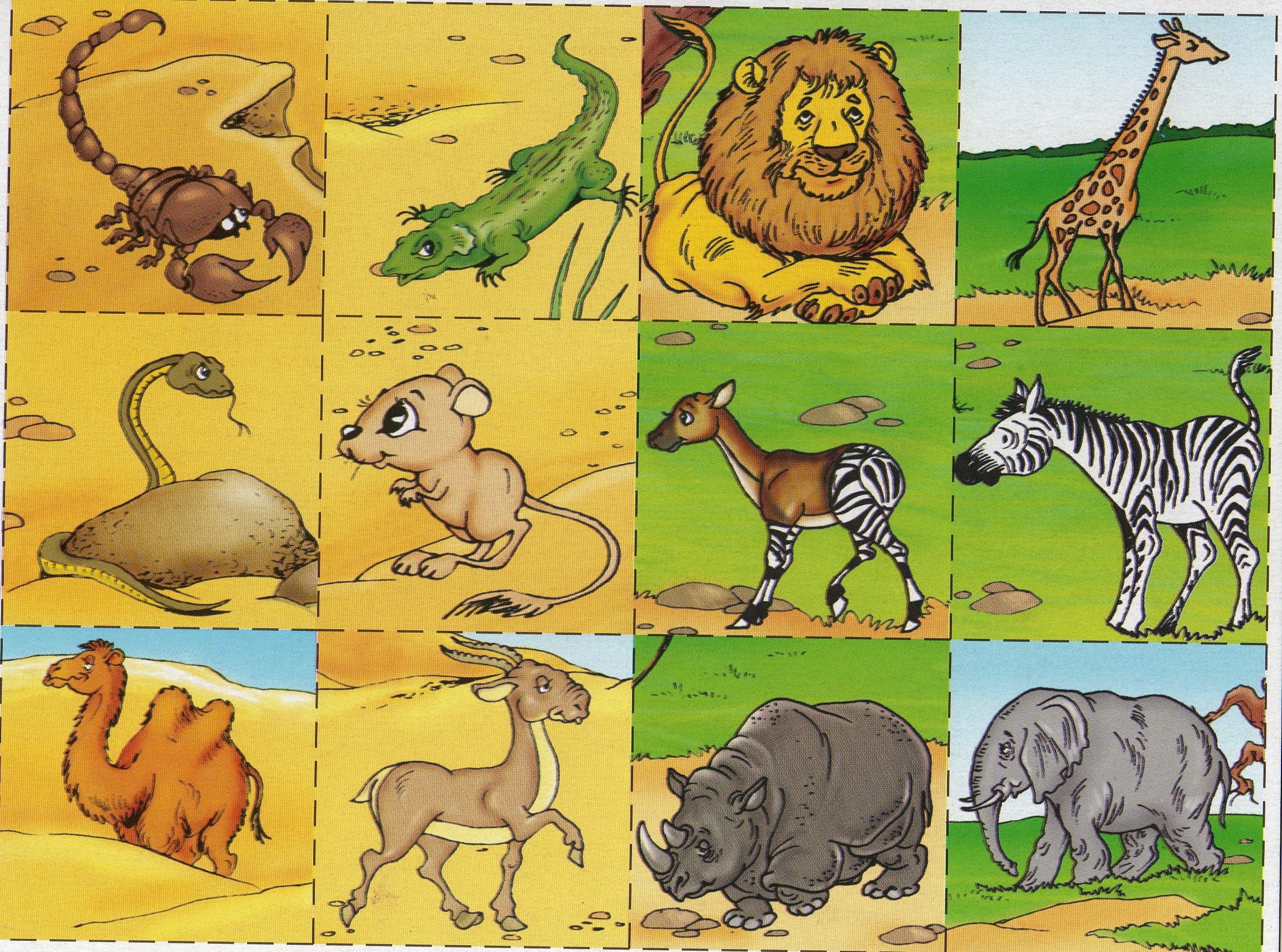 Кто живет в африке животные. Зоологическое лото "в мире животных". Зоологическая игра животные лото. Животные жарких стран. Африканские животные для детей.