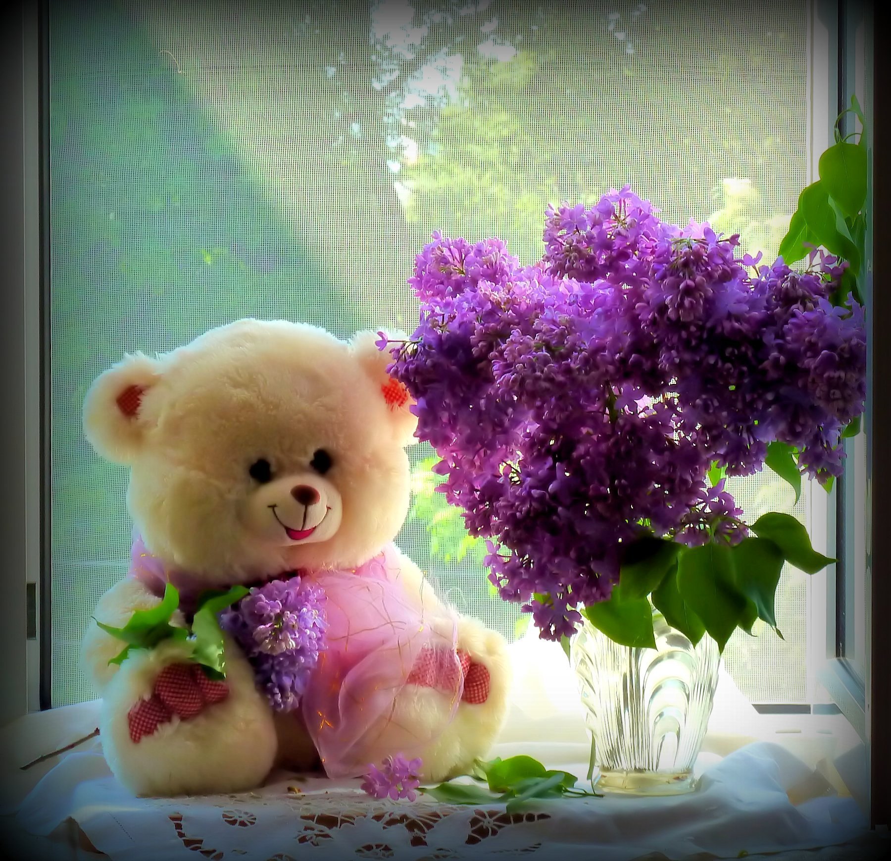 Какой чудесный день чтобы подарить цветов. Мишка с цветами. Красивый Медвежонок с цветами. Милые мишки с цветами. Красивый мишка с цветами.