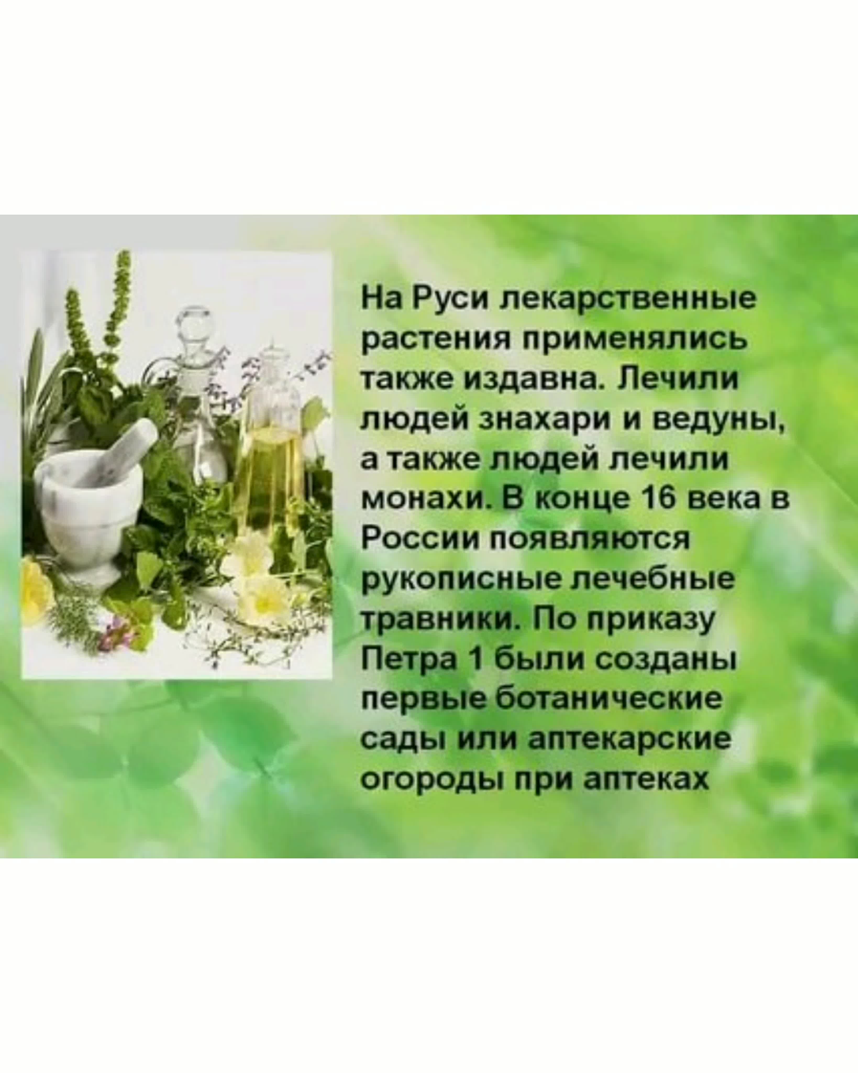 Лекарственные растения презентация