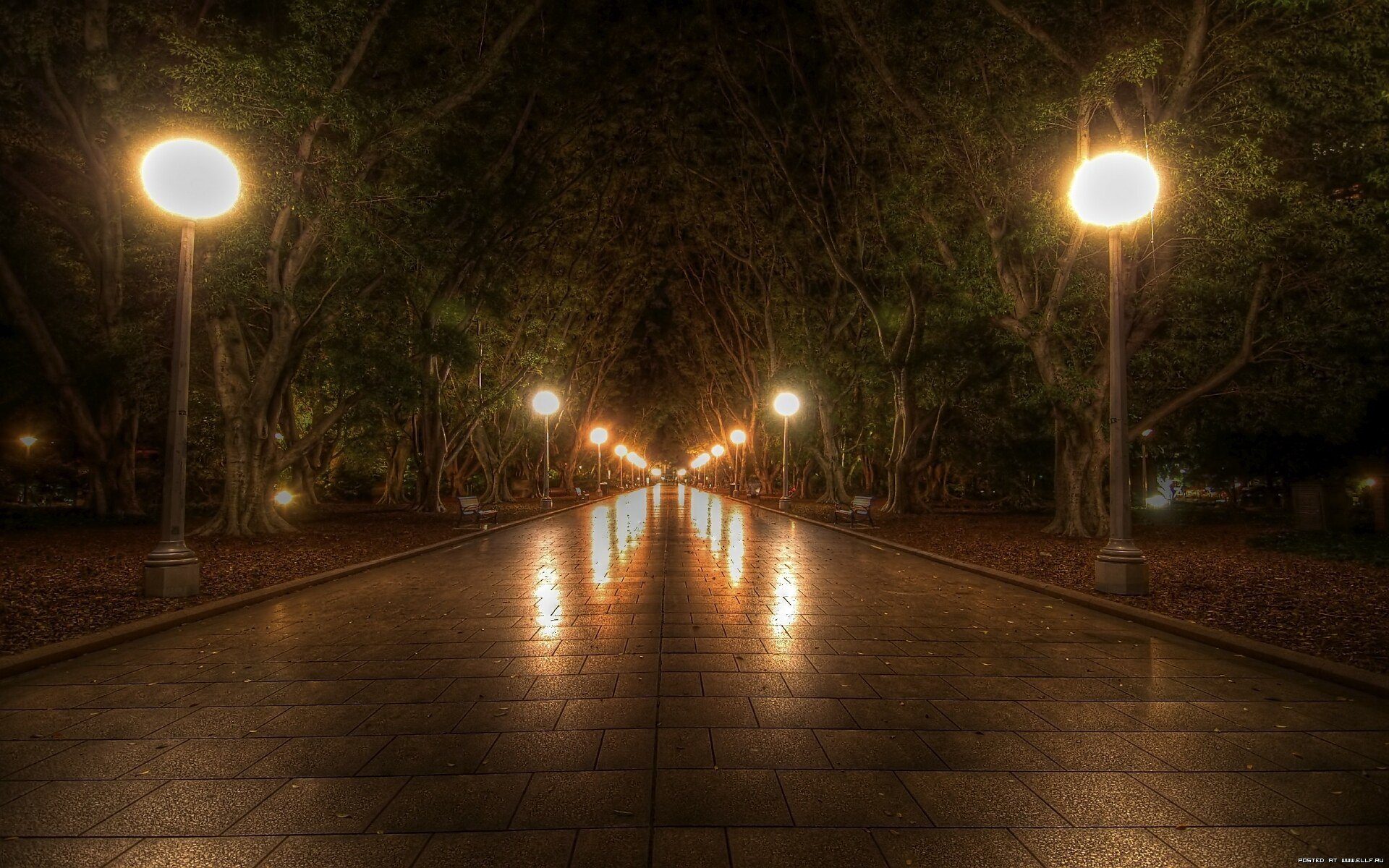 Вечер улица фонарь. Ночной парк БЕЛОКАН. Ночная улица. Ночная улица с фонарями. Фонари в парке.