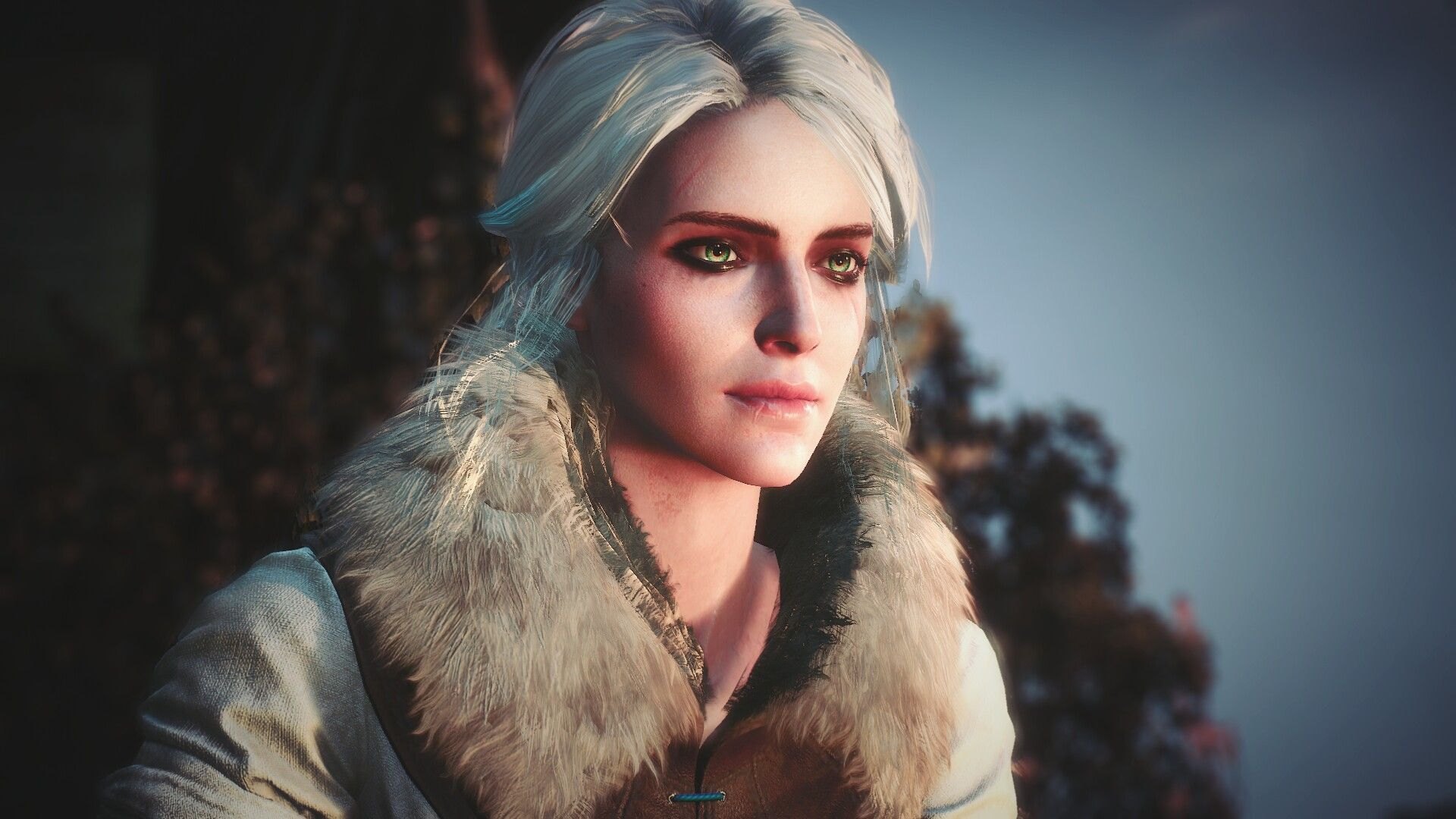 The witcher 3 ciri face фото 19