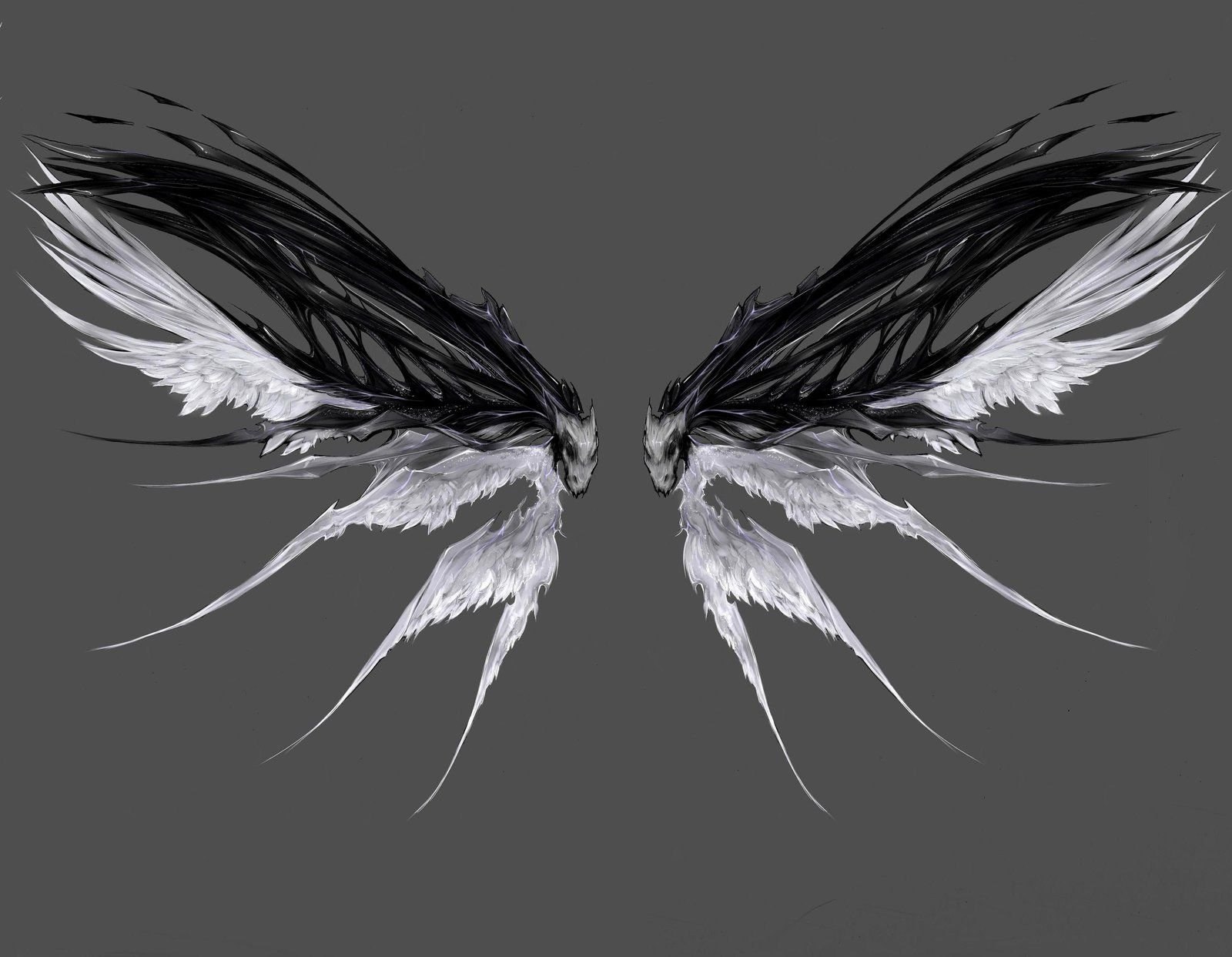 Крылья на черном фоне. Крылья демона. Необычные Крылья. Крылья демона арт. Магические Крылья.