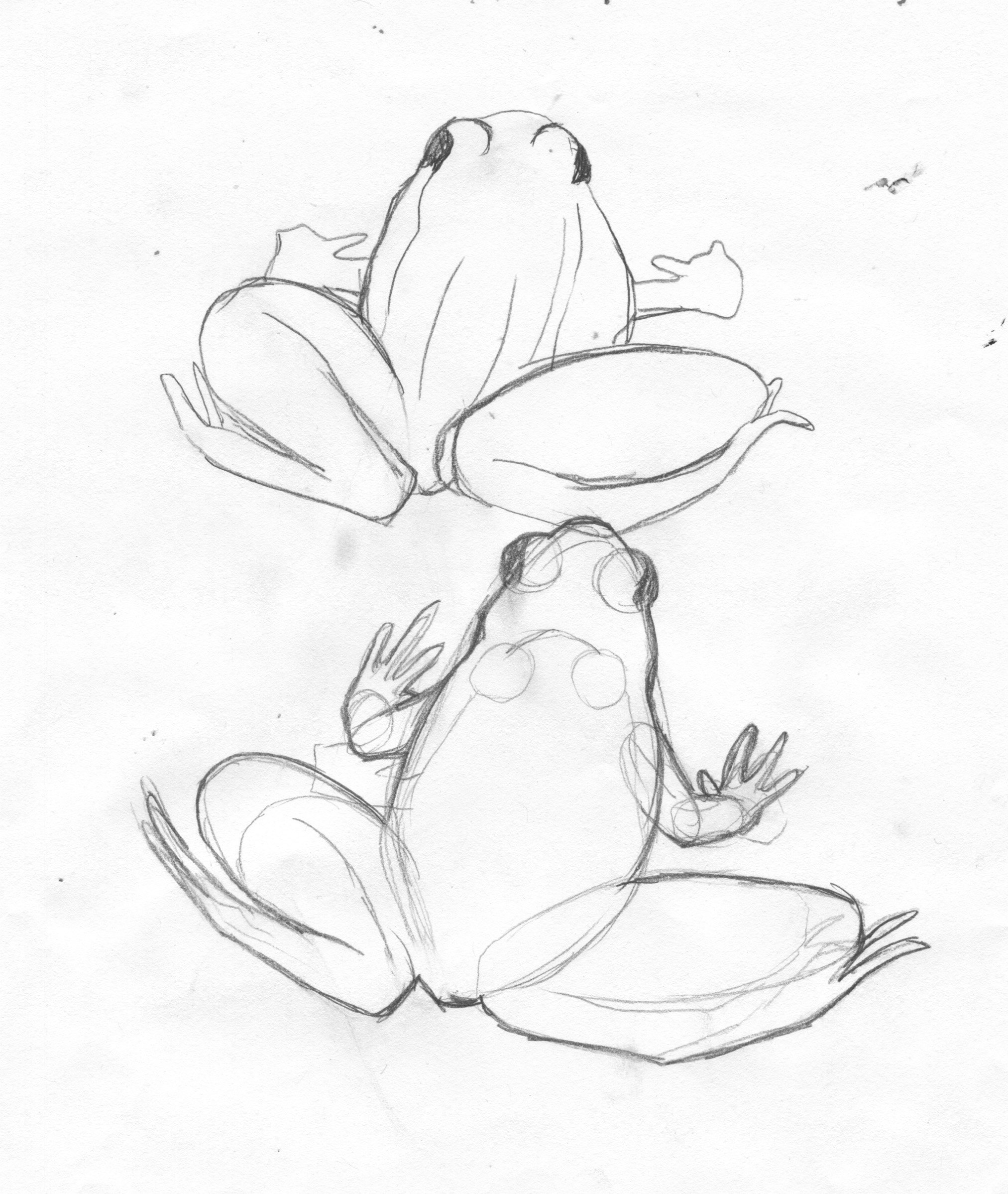 Легкие лягушки. Лягушка карандашом. Скетчи лягушек милые. Рисунок лягушки для срисовки. Лягушка рисунок карандашом.