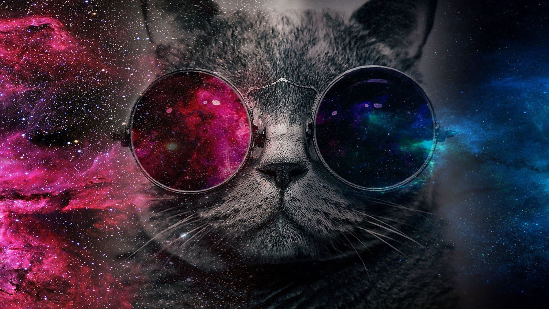 Самые красивые обложки. Космический кот. Крутые коты. Кот с очками космос. Крутой кот в очках.