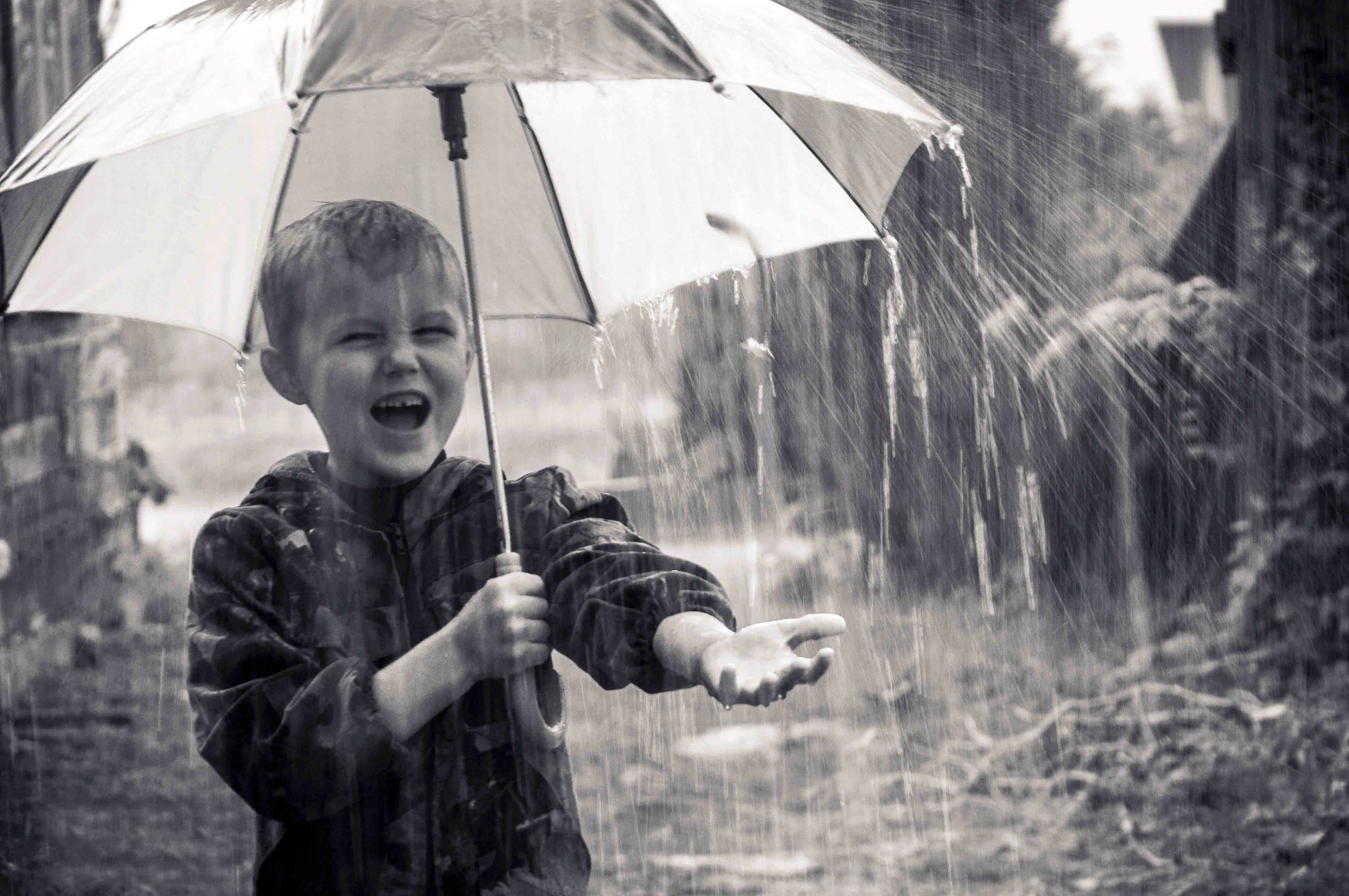 Как животные радуются дождю. Мальчик с зонтиком. Мальчик под дождем. Под дождем. Дети дождя.