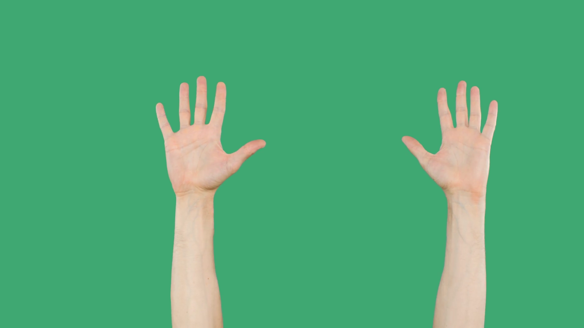 Правая рука зеленая. Фото руки на зелёном фоне. Палец хромакей. Руки на зелёном фоне для гачеров. Фон рук на зеленом фоне.