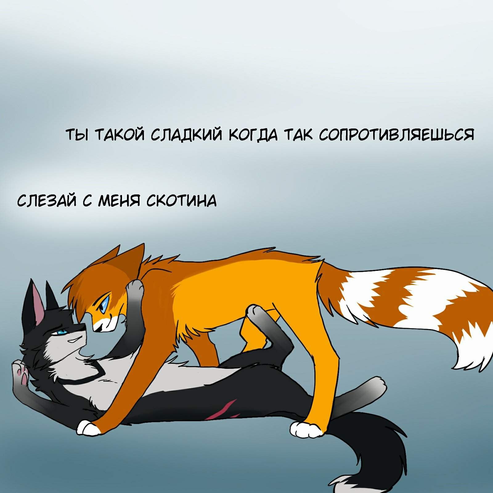 Коты воители фанфики 18