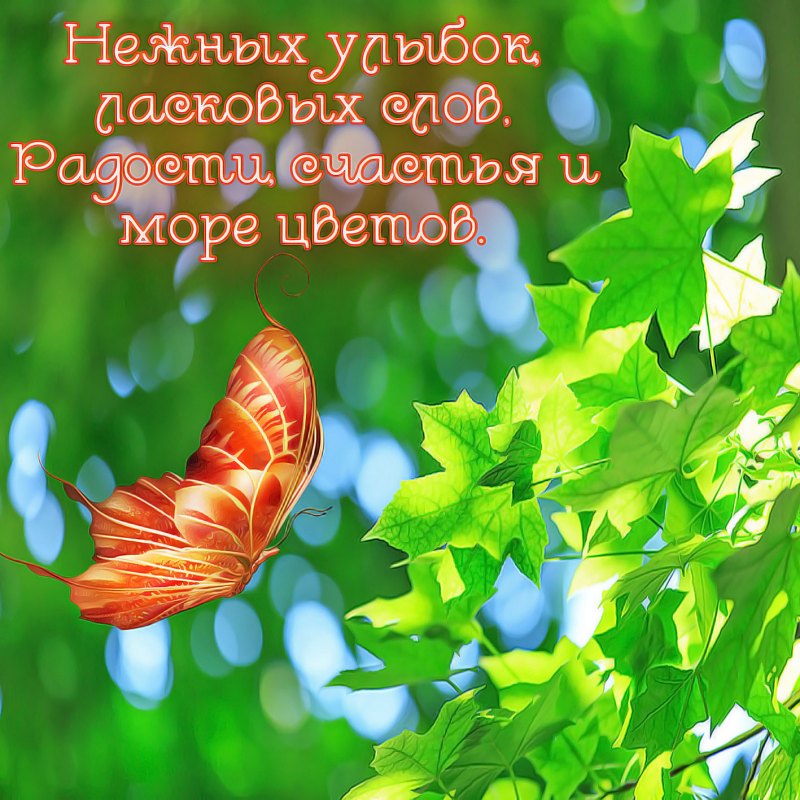 Добрые пожелания на фоне природы