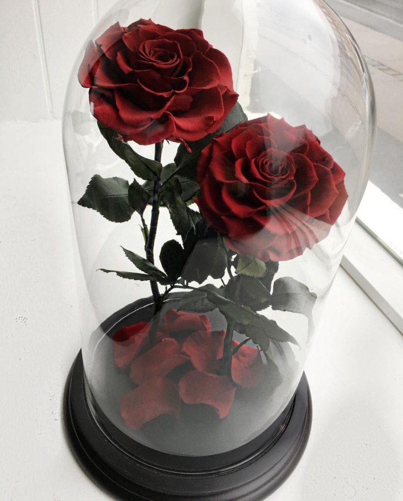 The Rose Эстетика