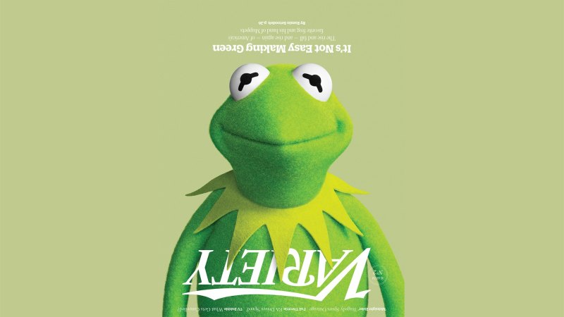 Обои с лягушками из тик тока