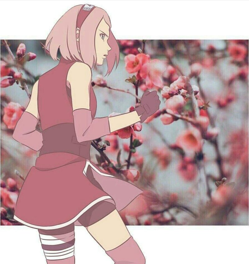 Сакура хорунаэстетика