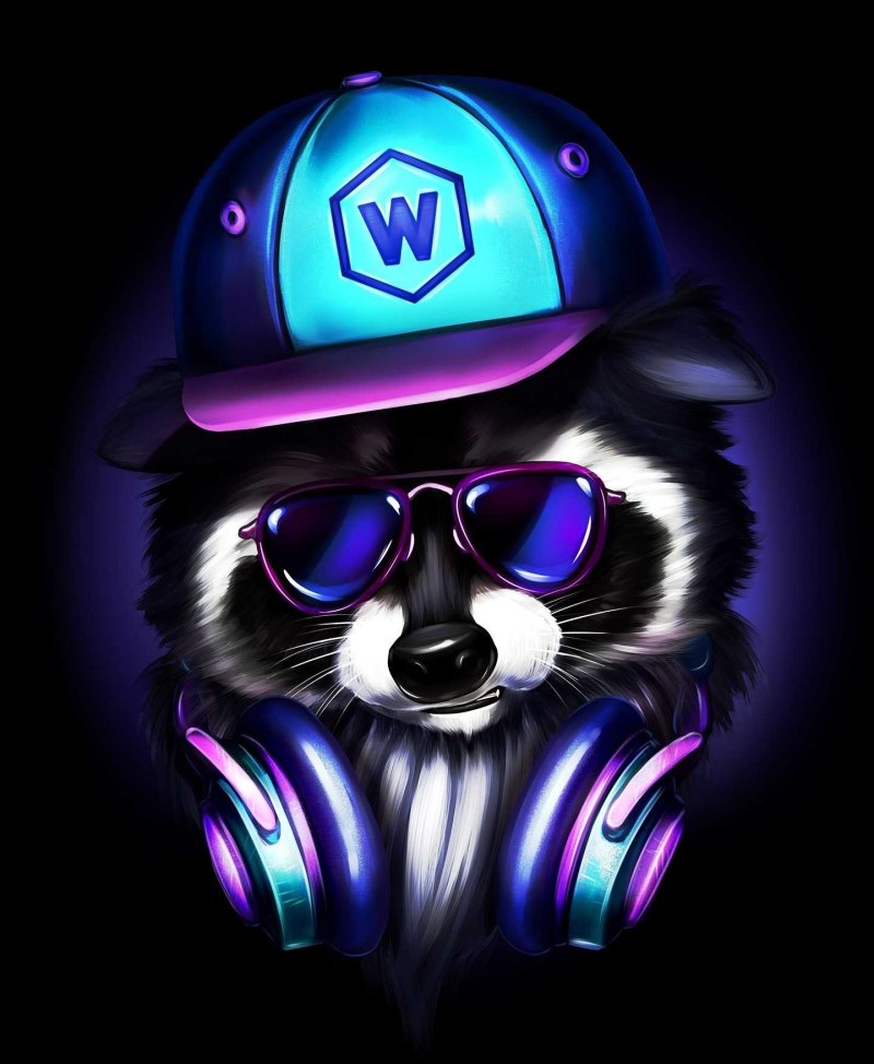 Енот диджей