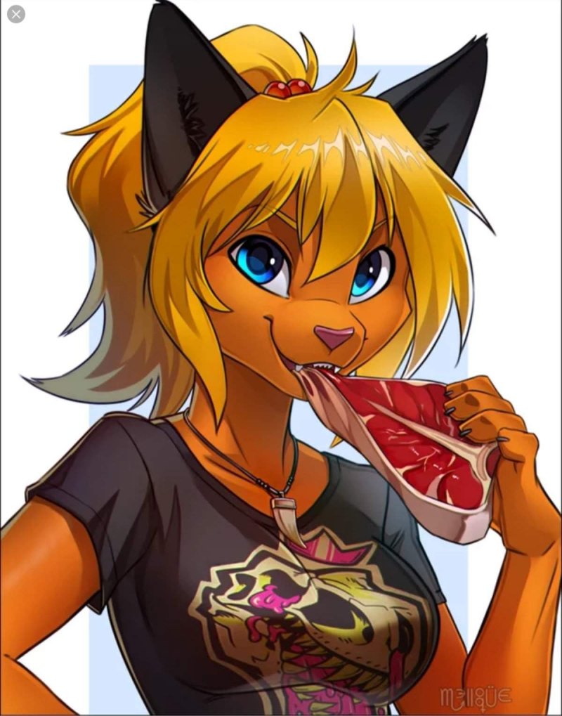 Антро фурри