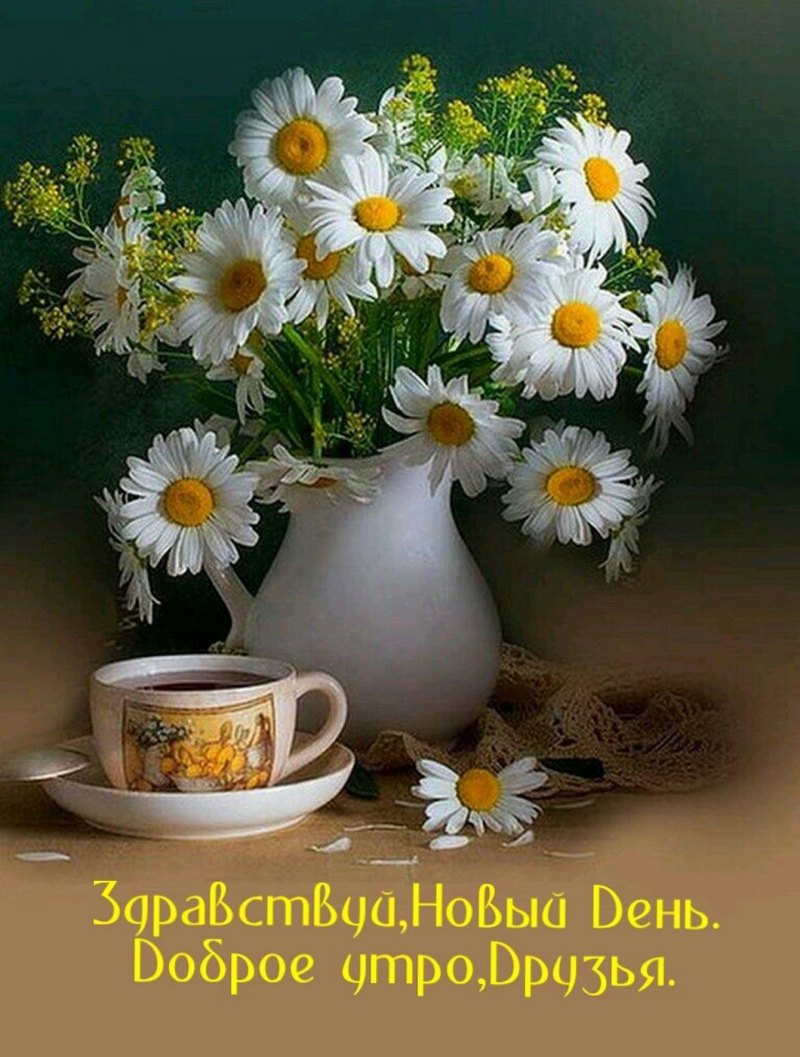 Доброе утро