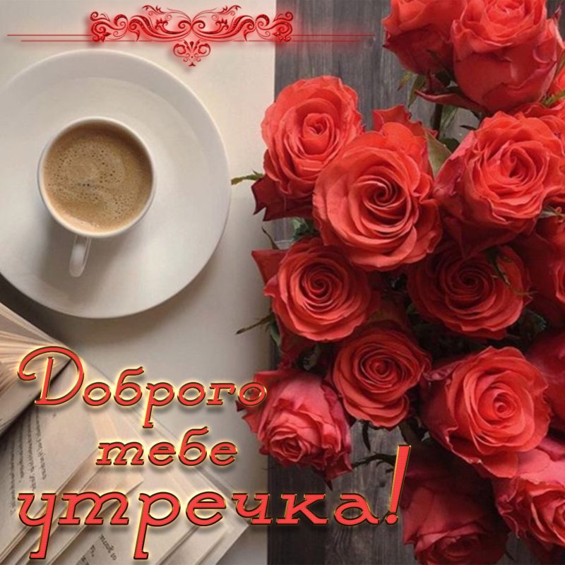 С добрым утром цветы красивые