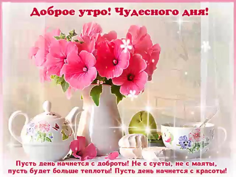 Доброе утро прекрасного дня