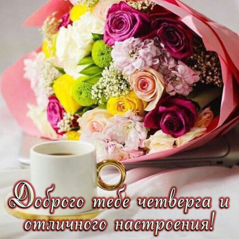 Доброе утро четверга