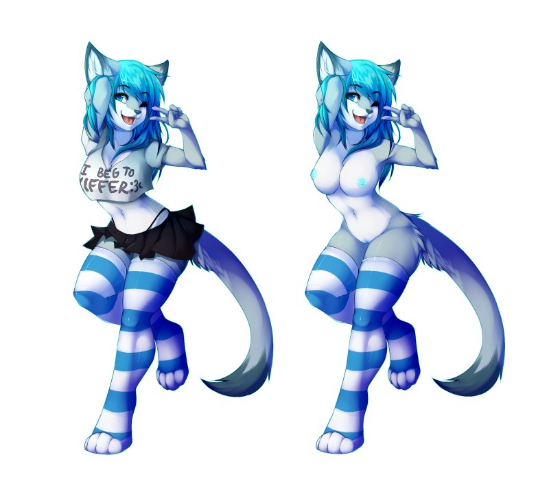 Фурри Сиамская кошка