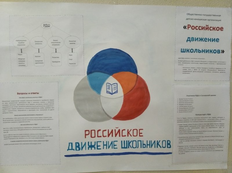 Символ направления Гражданская активность в РДШ