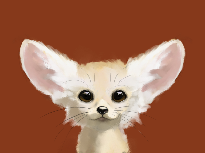 Лисица фенек аниме