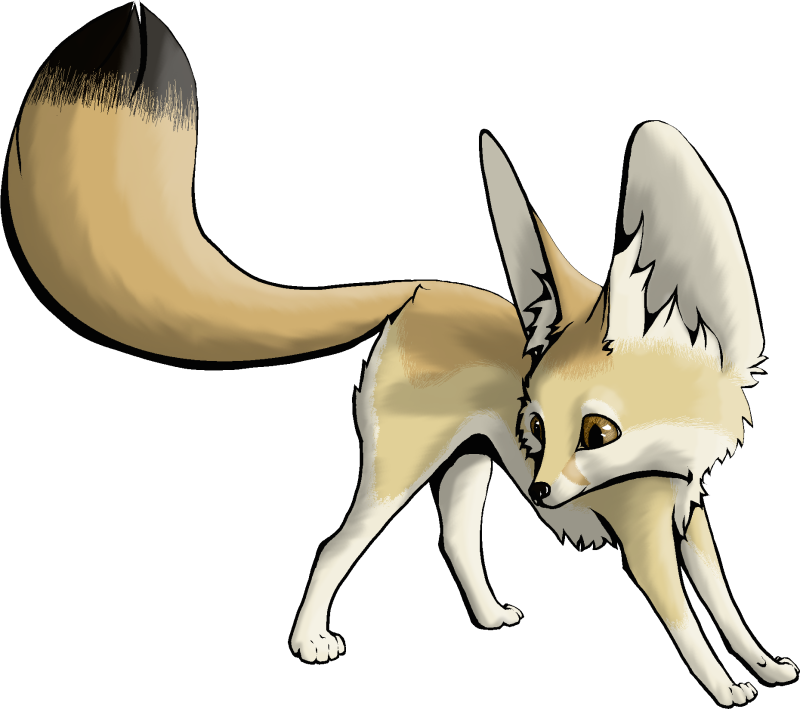 Fennec Fox draw