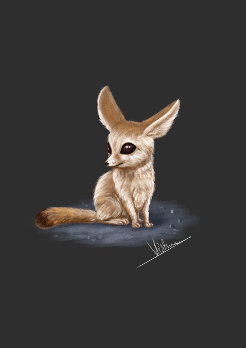 Лиса фенек арт