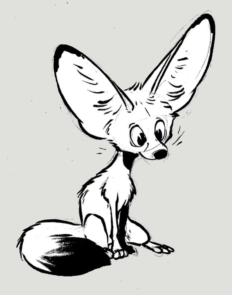 Фенек эскиз