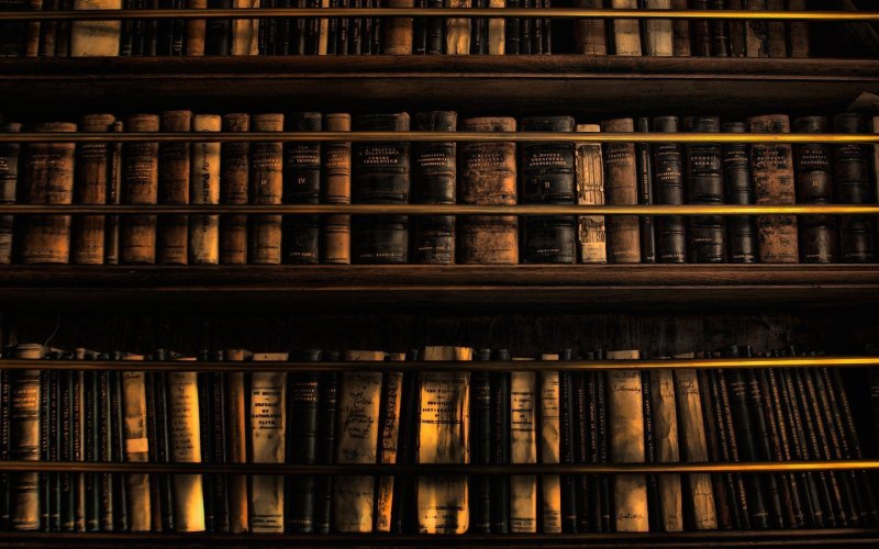 Огромная полка книг