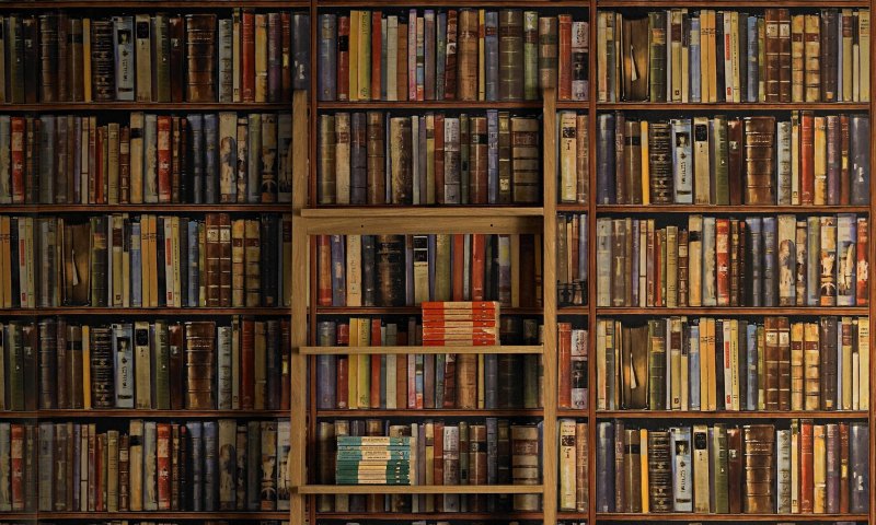 Книжные полки с книгами