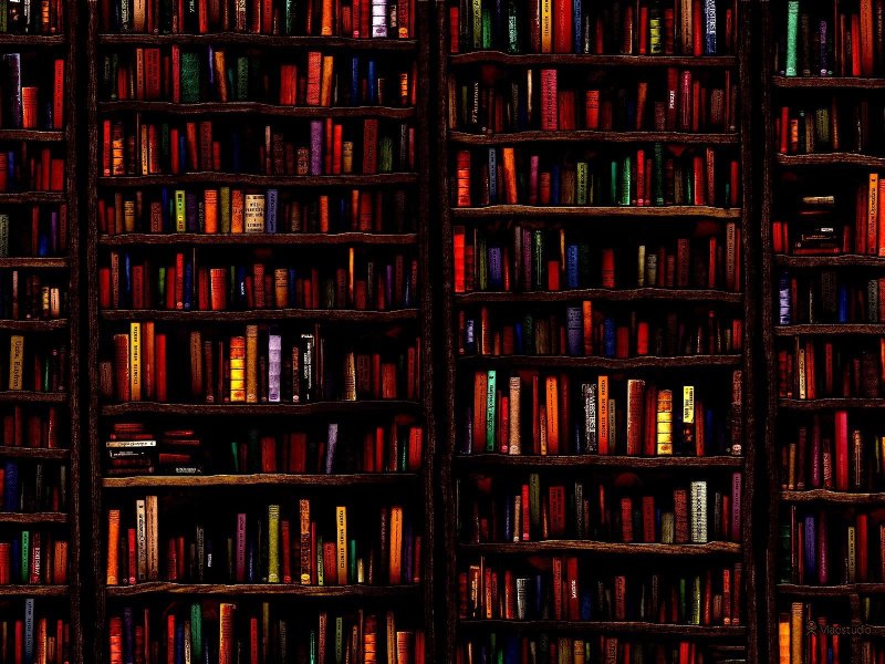 Фон книжные полки для видеомонтажа