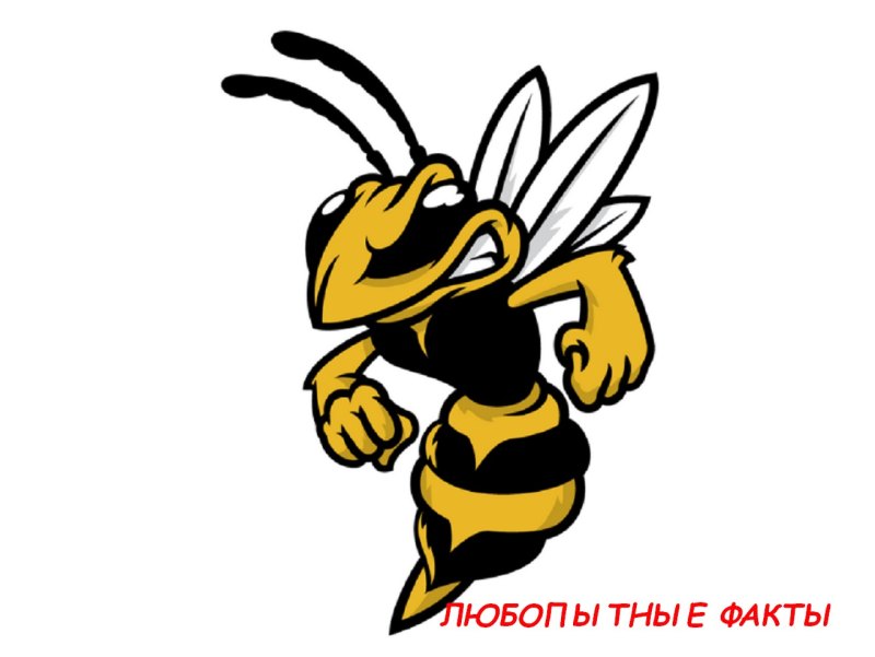 Злая Пчелка