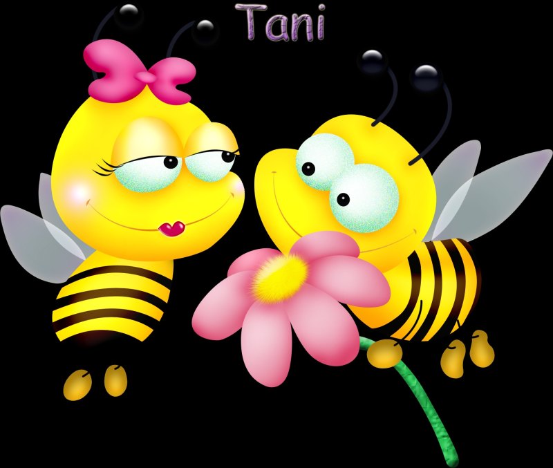 Влюбленные пчелки