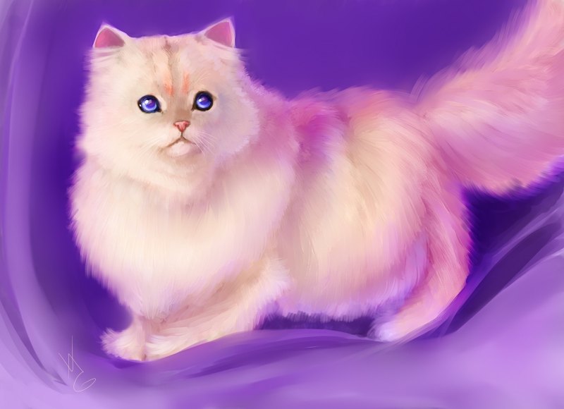 Кошка с фиолетовыми глазами