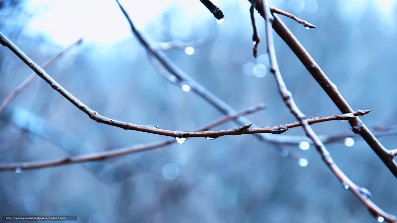 Ранняя Весна капель природа