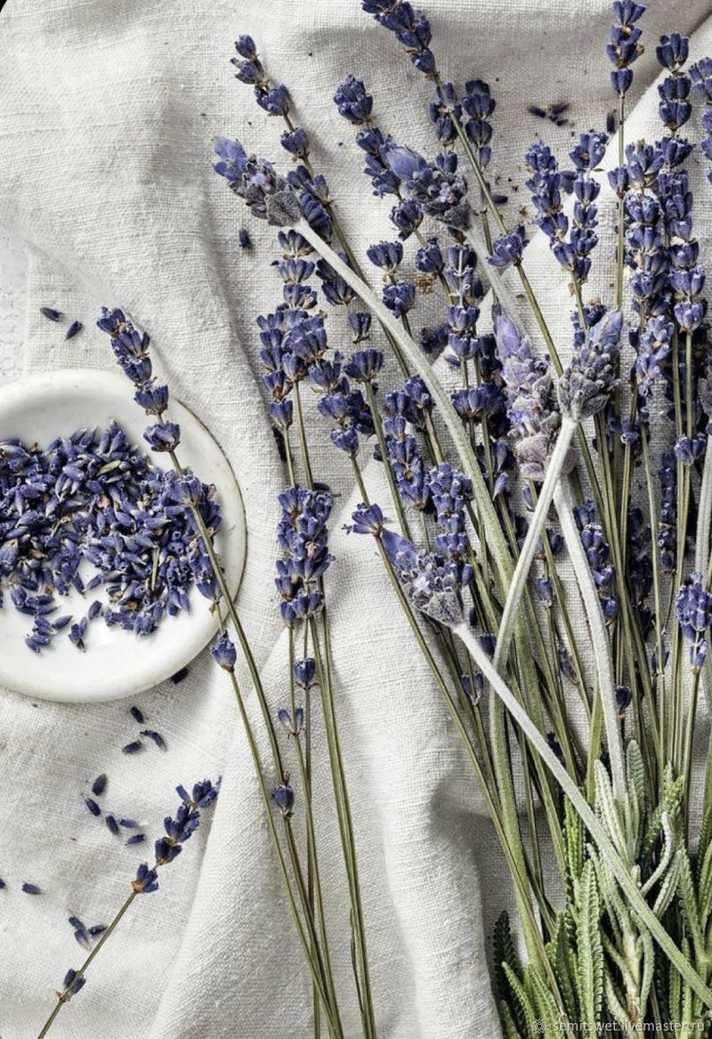 Лаванда aesthetic