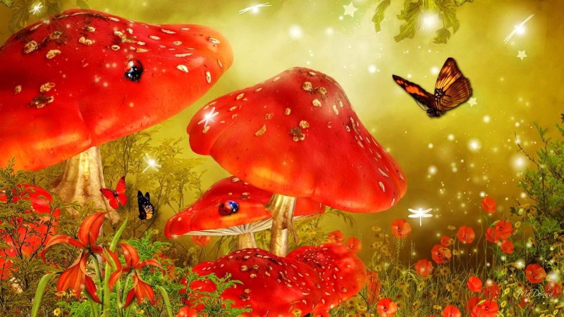 Гриб Amanita Jackson