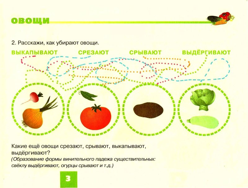 Схема описания фруктов для дошкольников