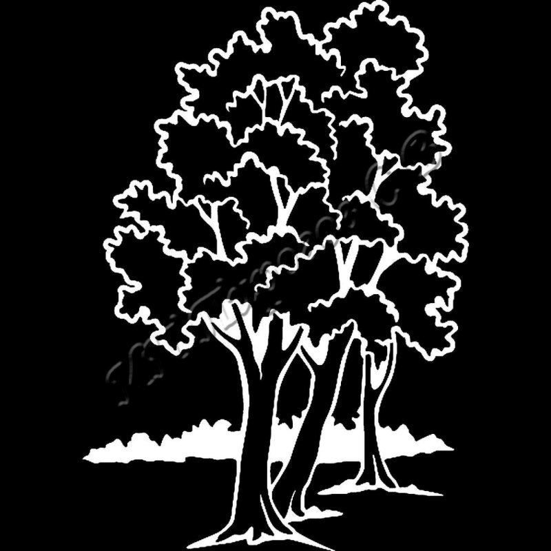 Компас красивый